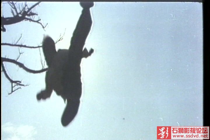 石狮影视论坛www.mndvd.cn 图片点击可在新窗口打开查看
